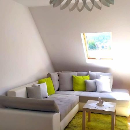 Widok Na Sniezke Appartement Miłków Buitenkant foto